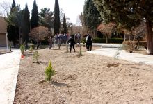 گزارش تصویری از آئیین درختکاری و تقدیر ازهمکاران فضای سبز دانشگاه